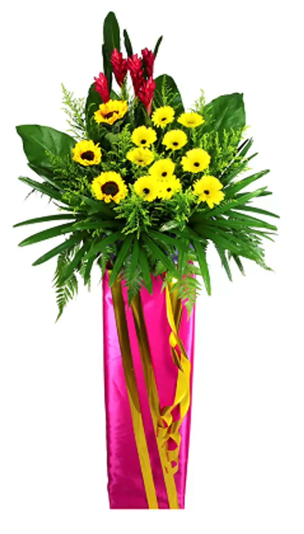 Opening Flower 203