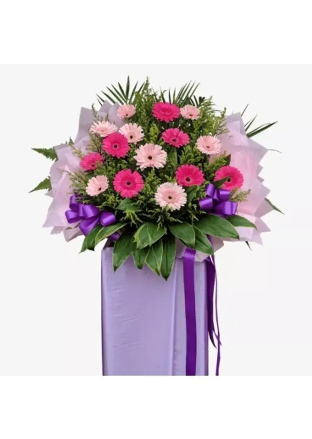 Opening Flower 205