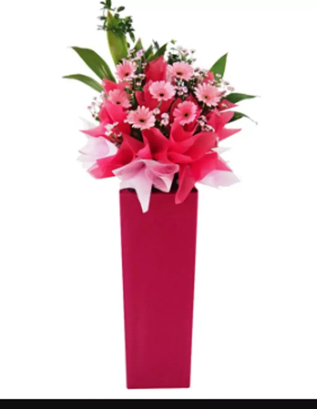 Opening Flower 115