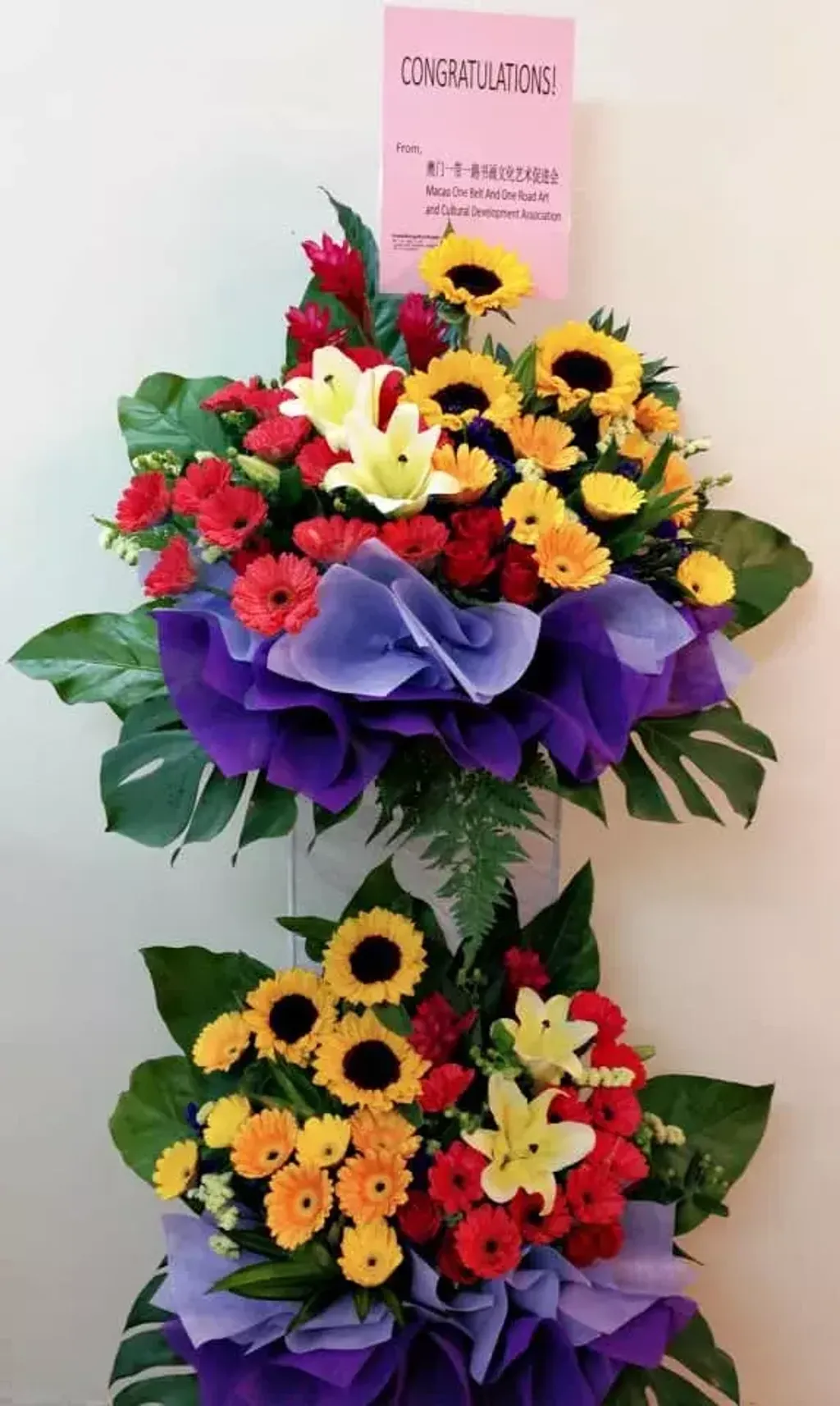 Opening Flower 154
