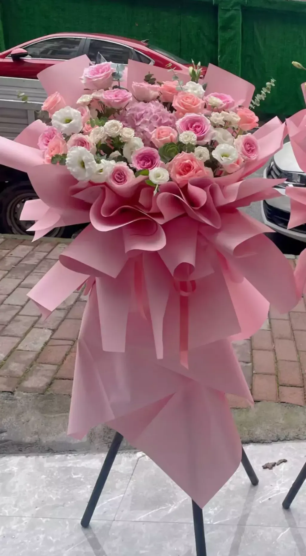 Pink Opening Stand 08