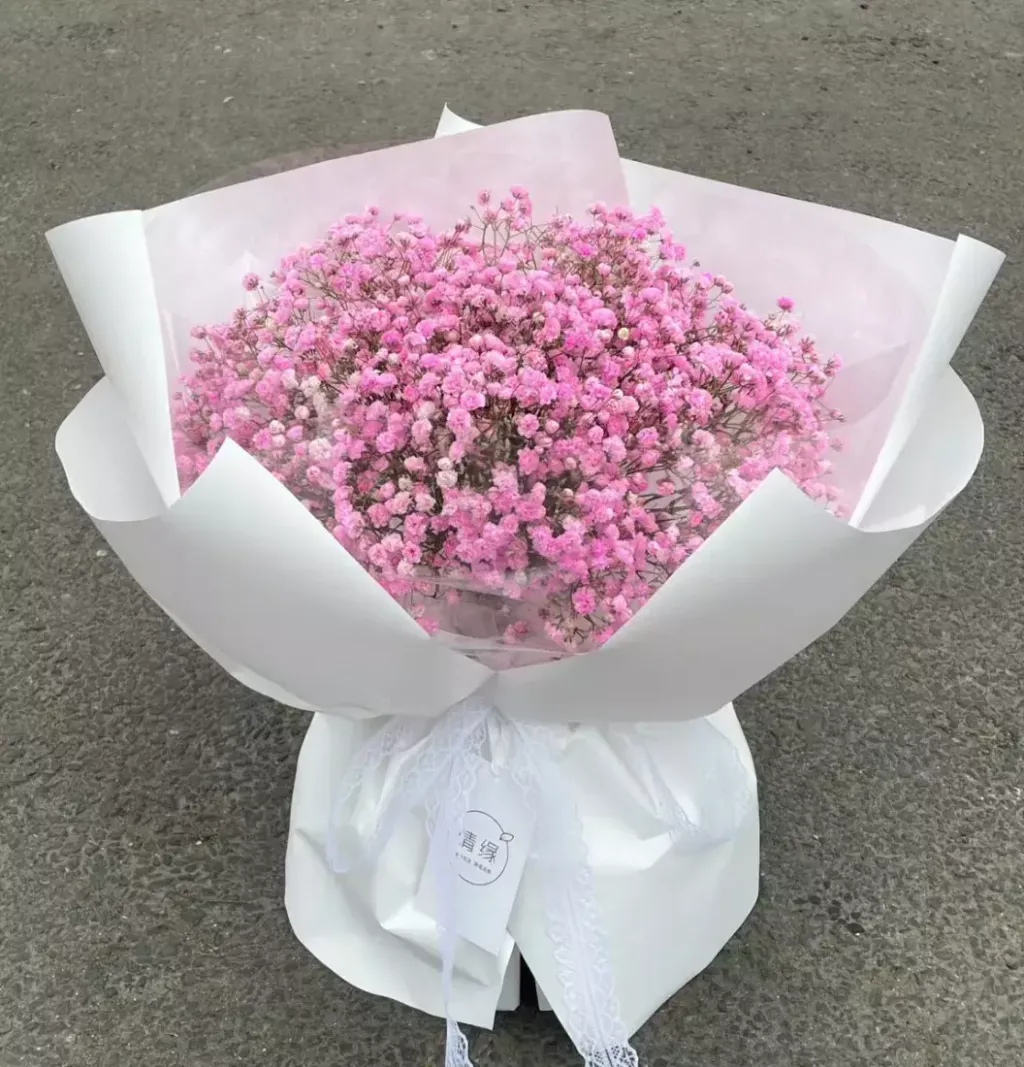 Baby’s Breath Bouquet (S Size)
