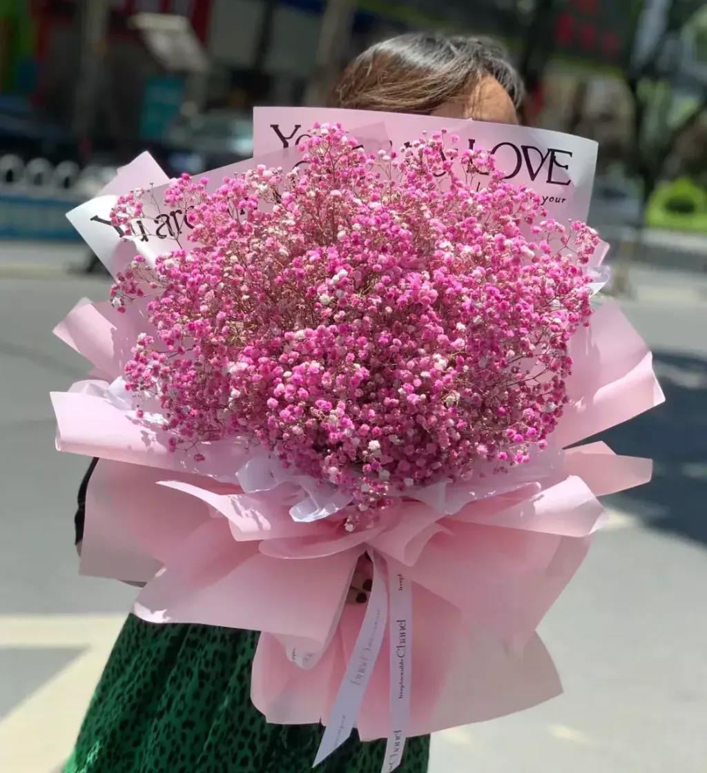 Pink Lady
