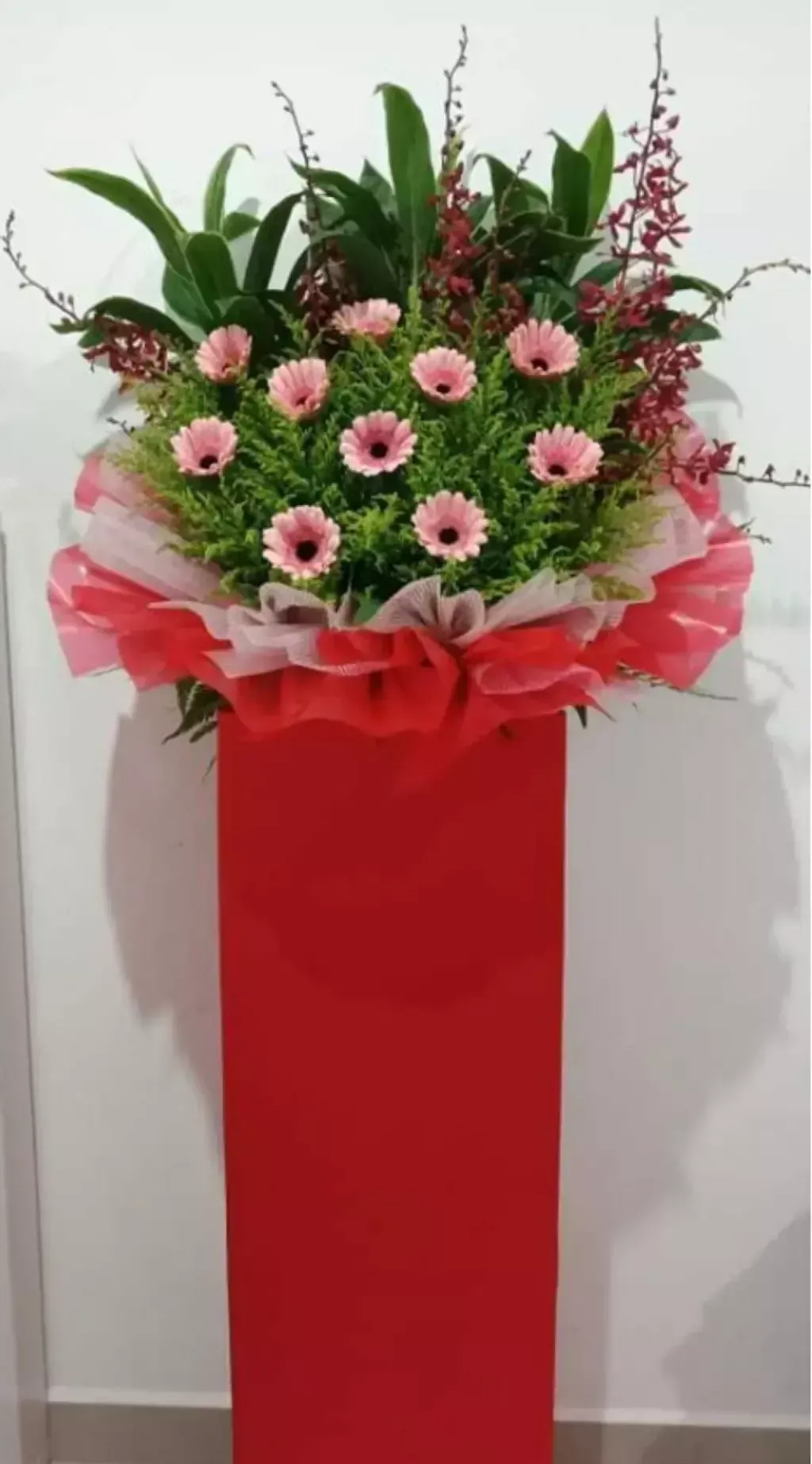 Opening Flower 206