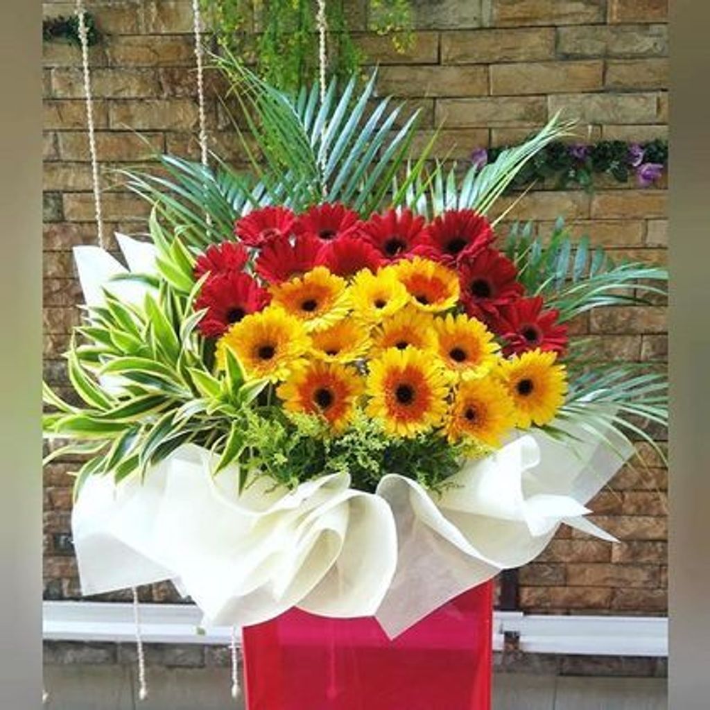 Opening Flower 212