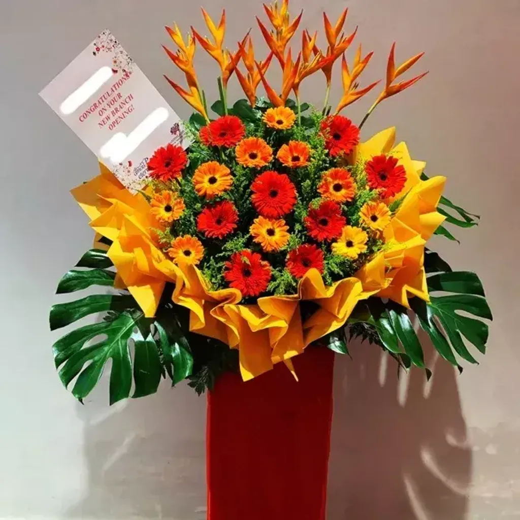 Opening Flower 49