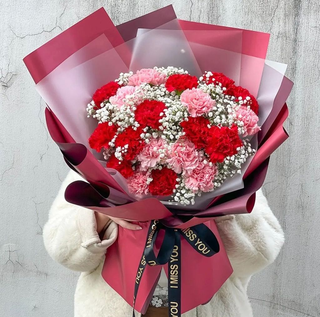 Mixed Colour Carnation
