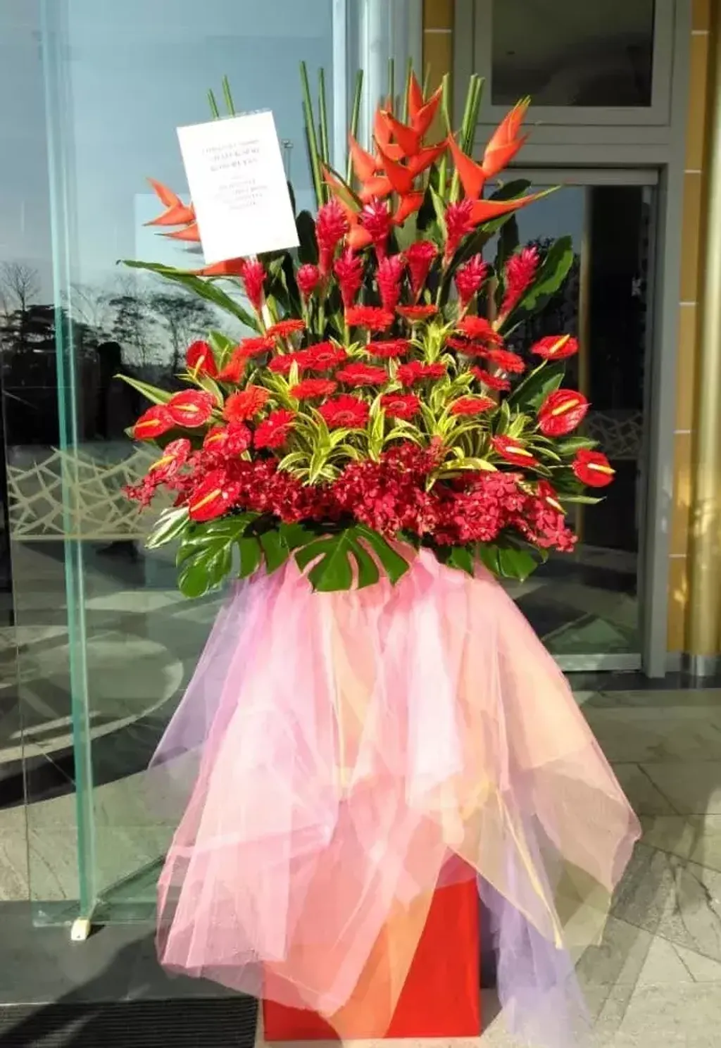 Opening Flower 132