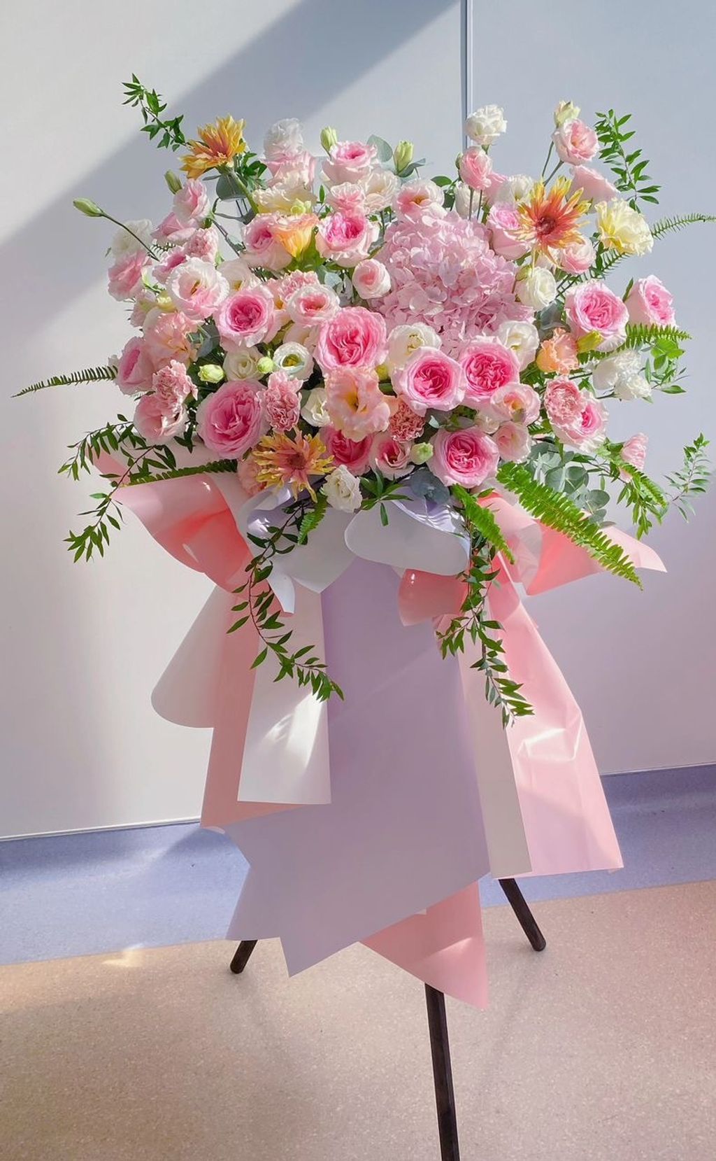Opening Flower 237