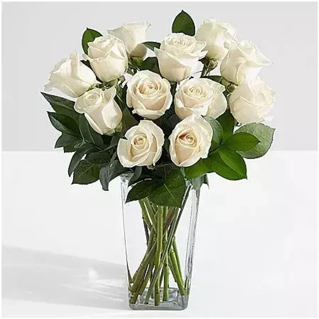 White Rose Vase