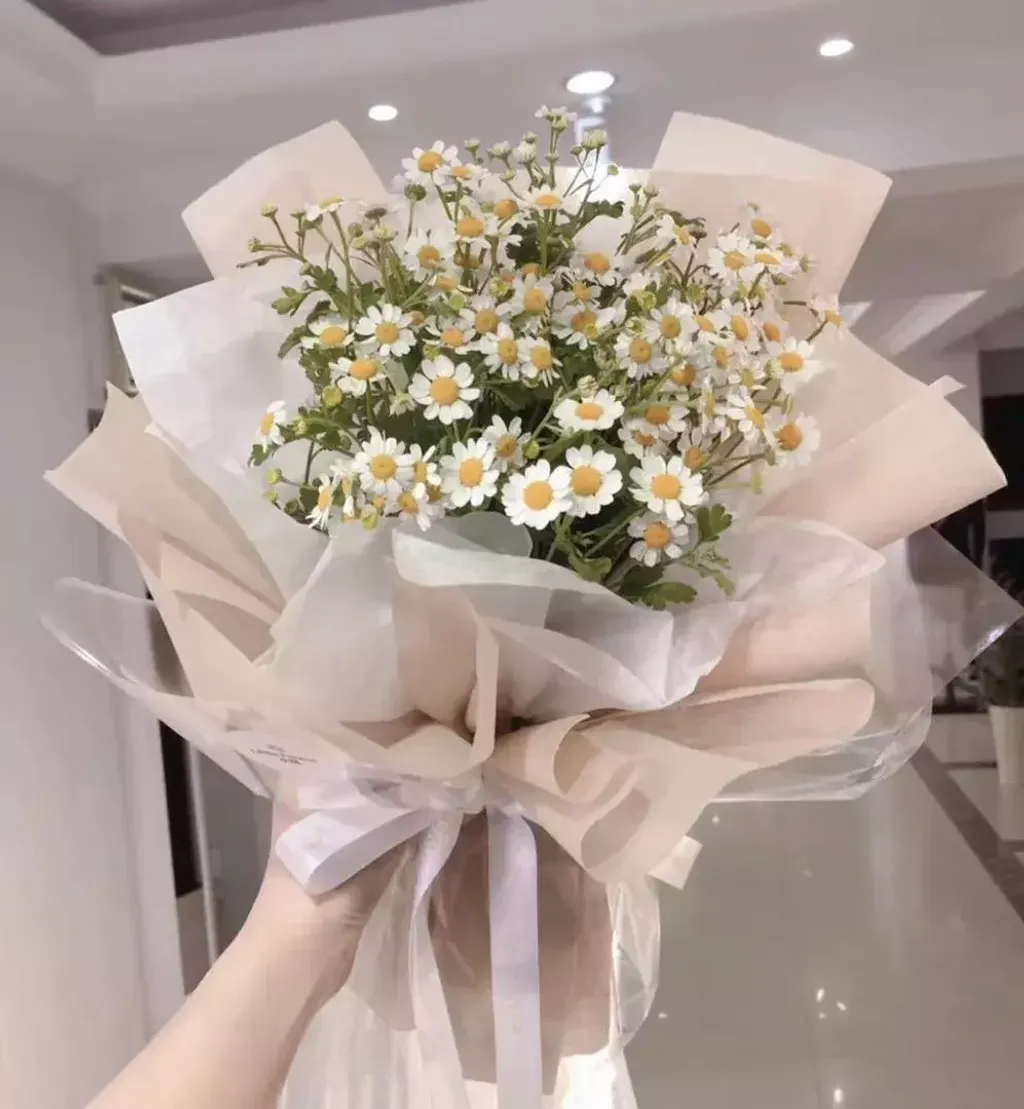 Matricaria Bouquet 01