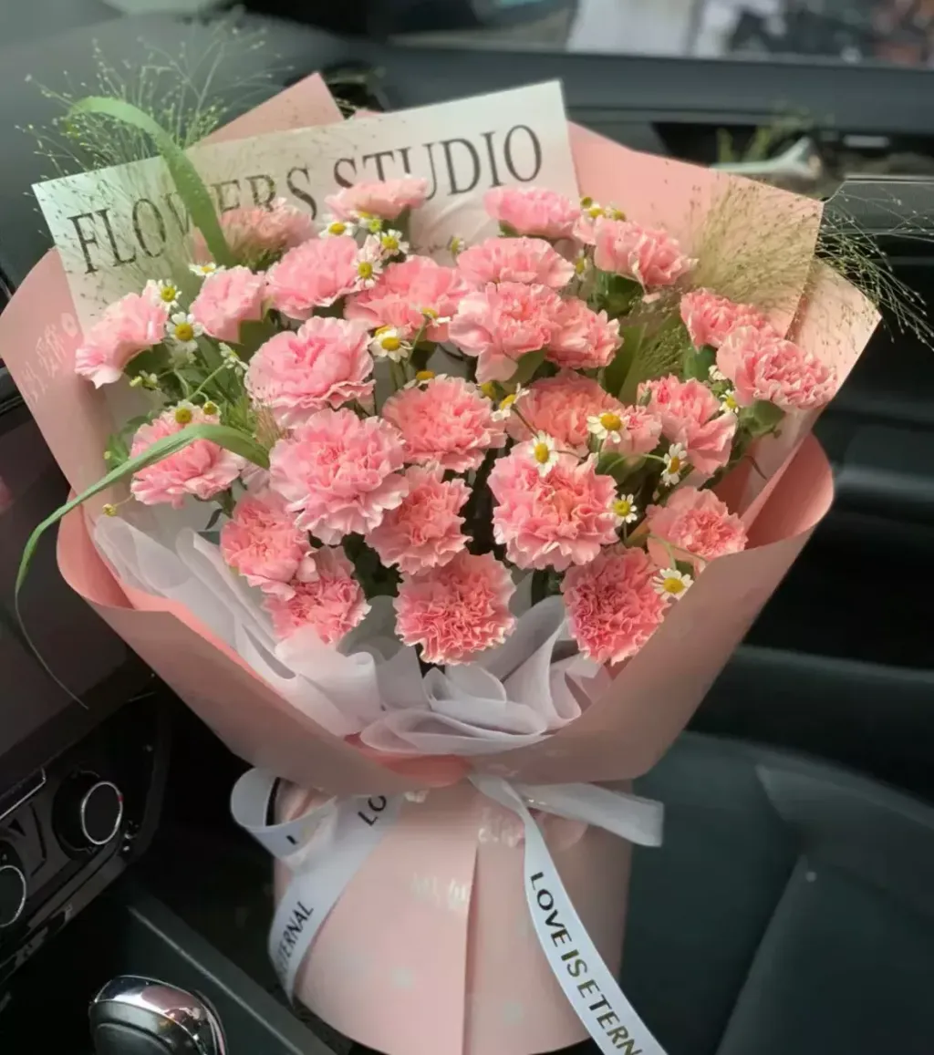 25 Pink Carnations