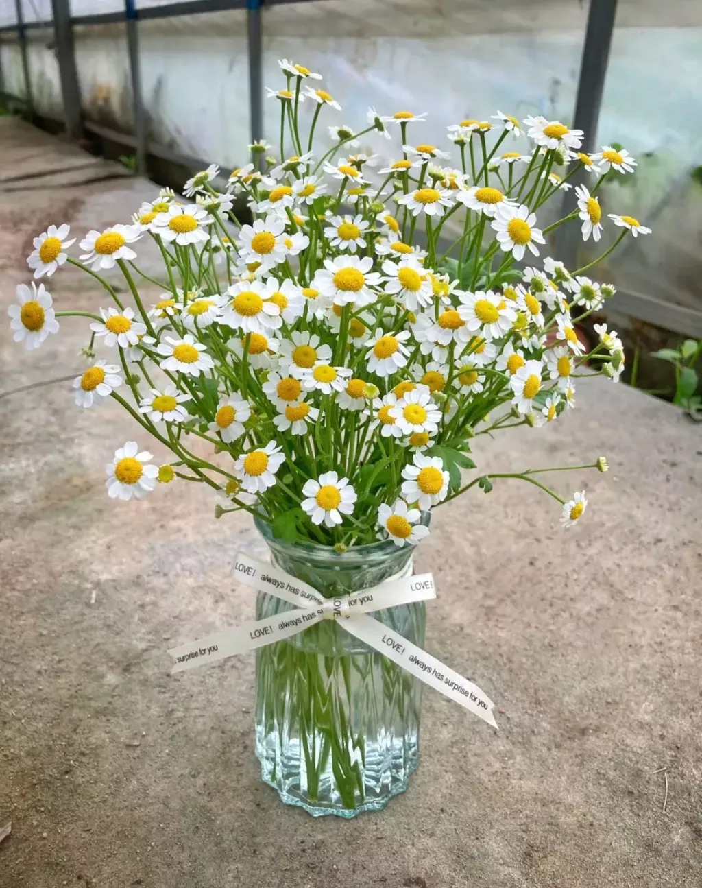 Vase Flower 003