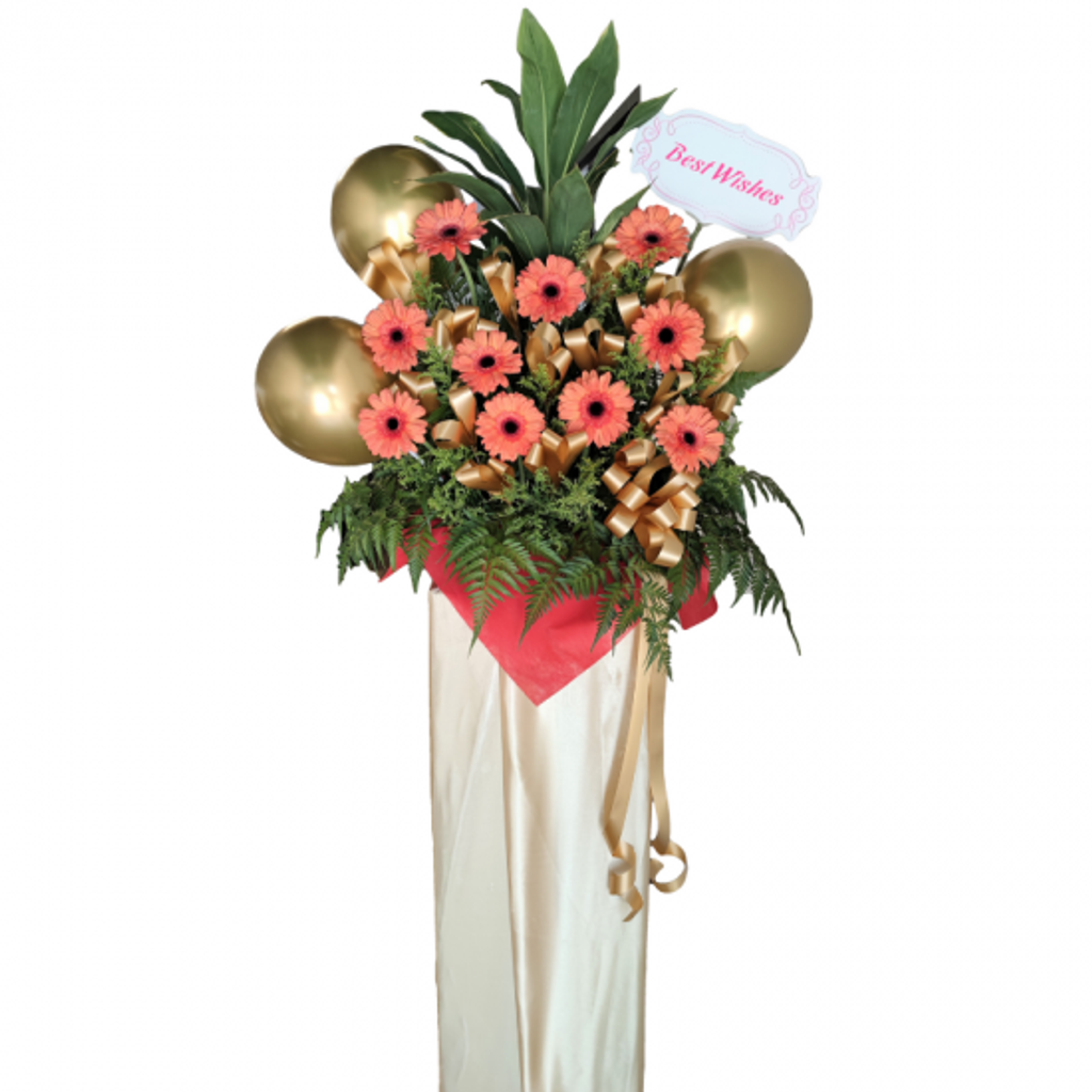 Opening Flower 210