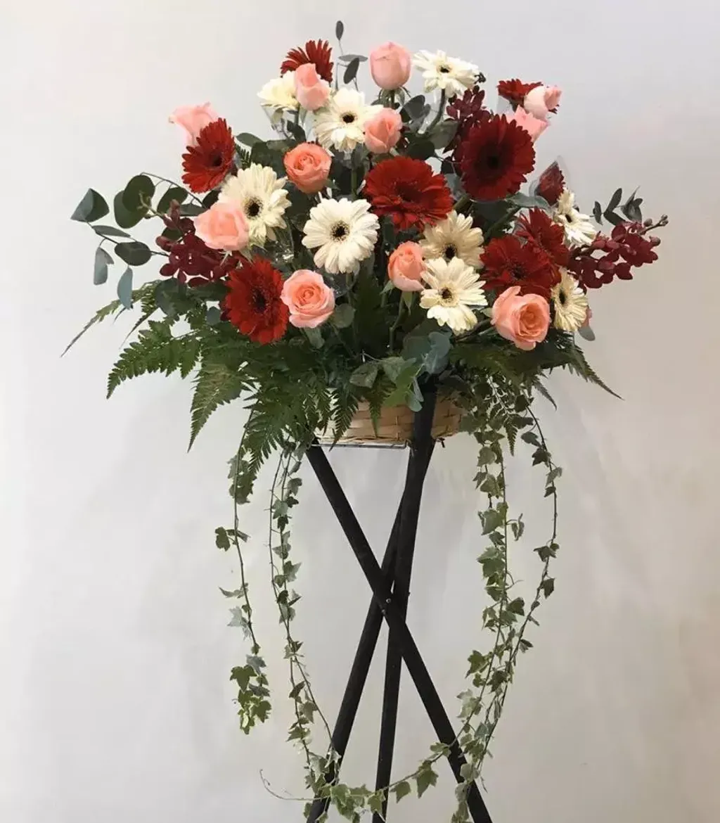 Opening Flower 35