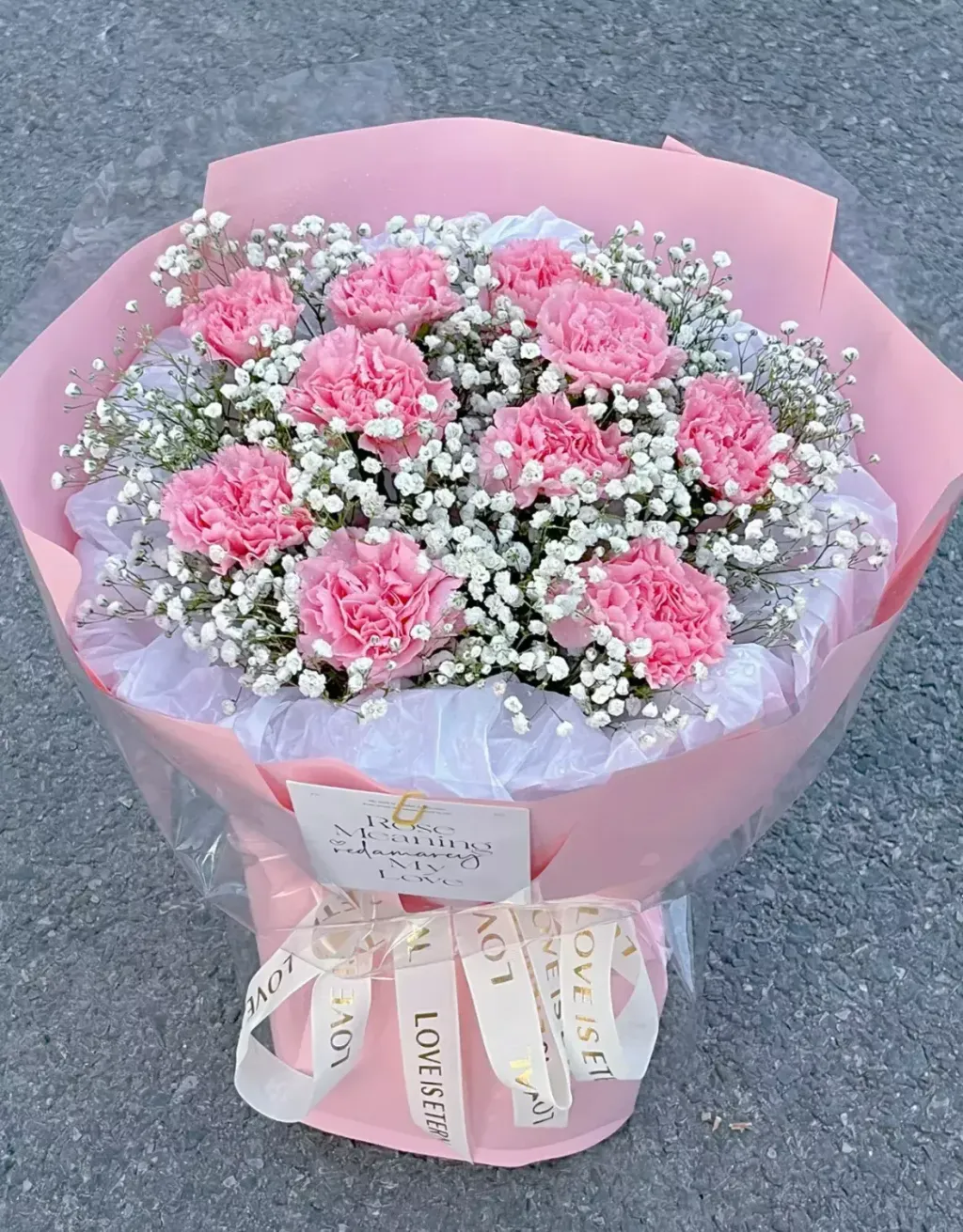 11 Pink Carnations