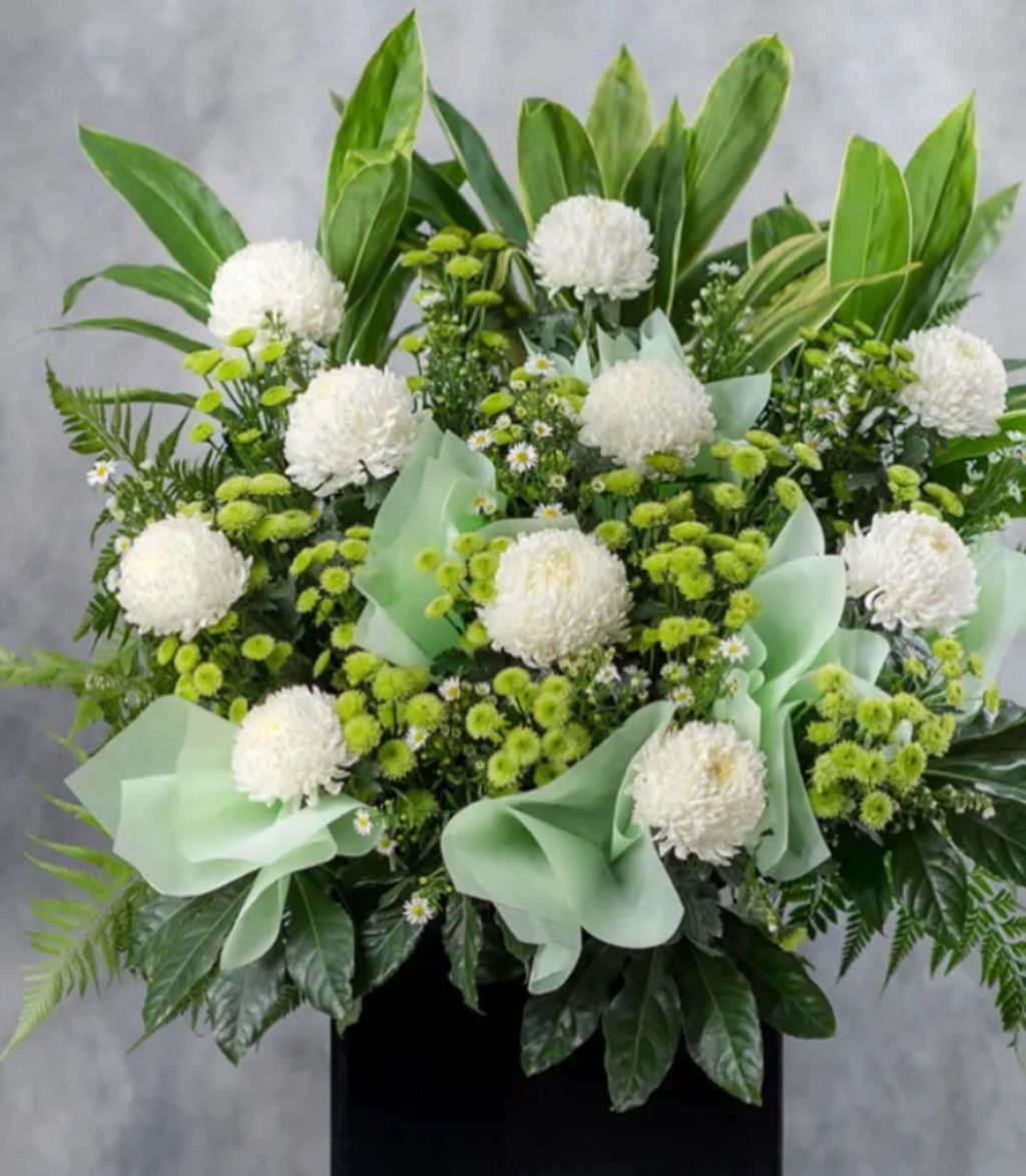 Condolences Stand 91