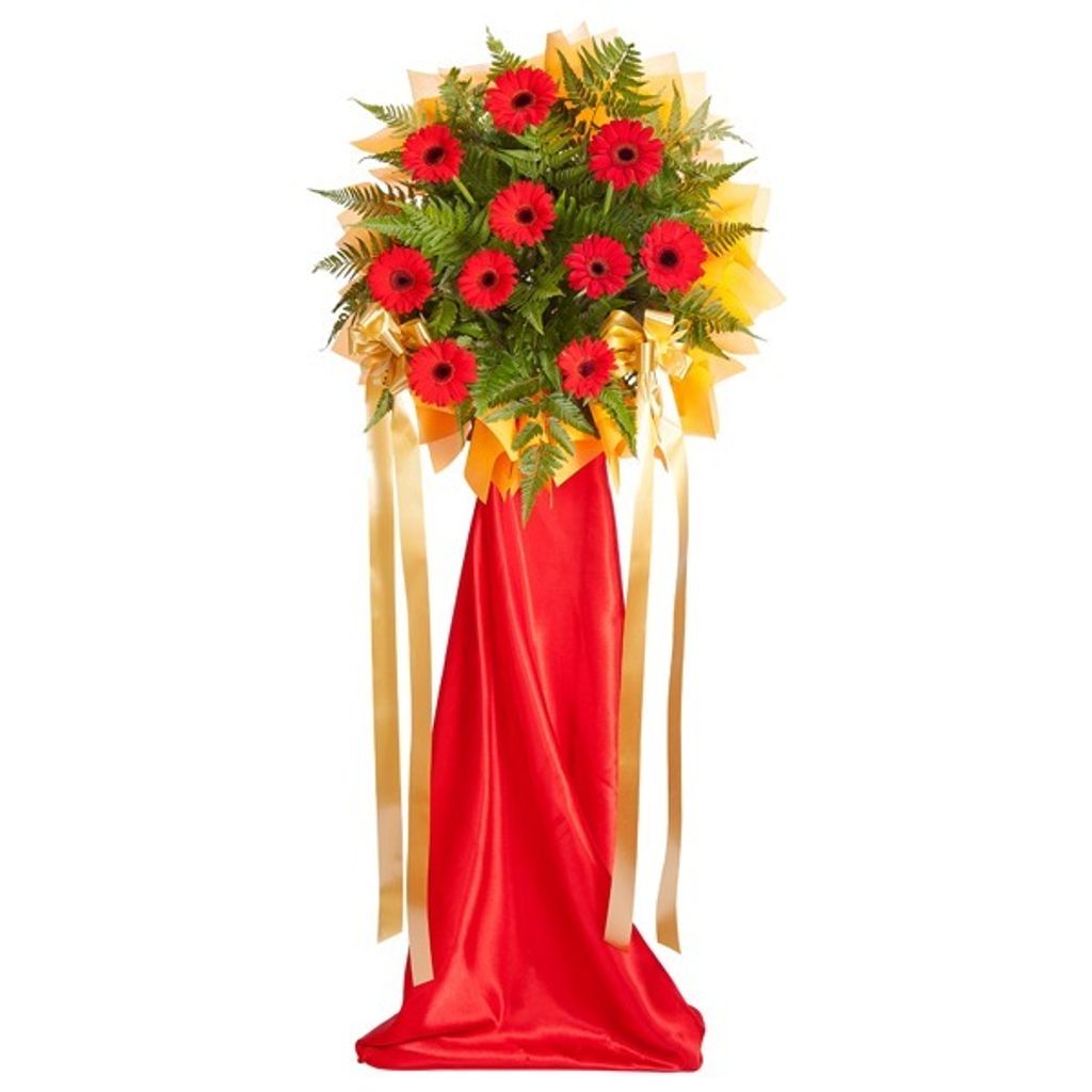 Opening Flower 34