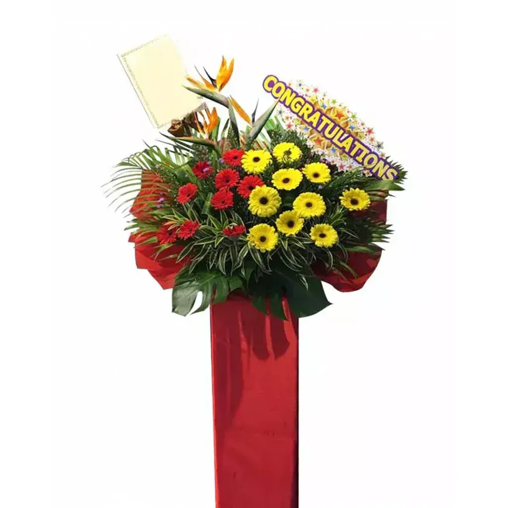 Opening Flower 42