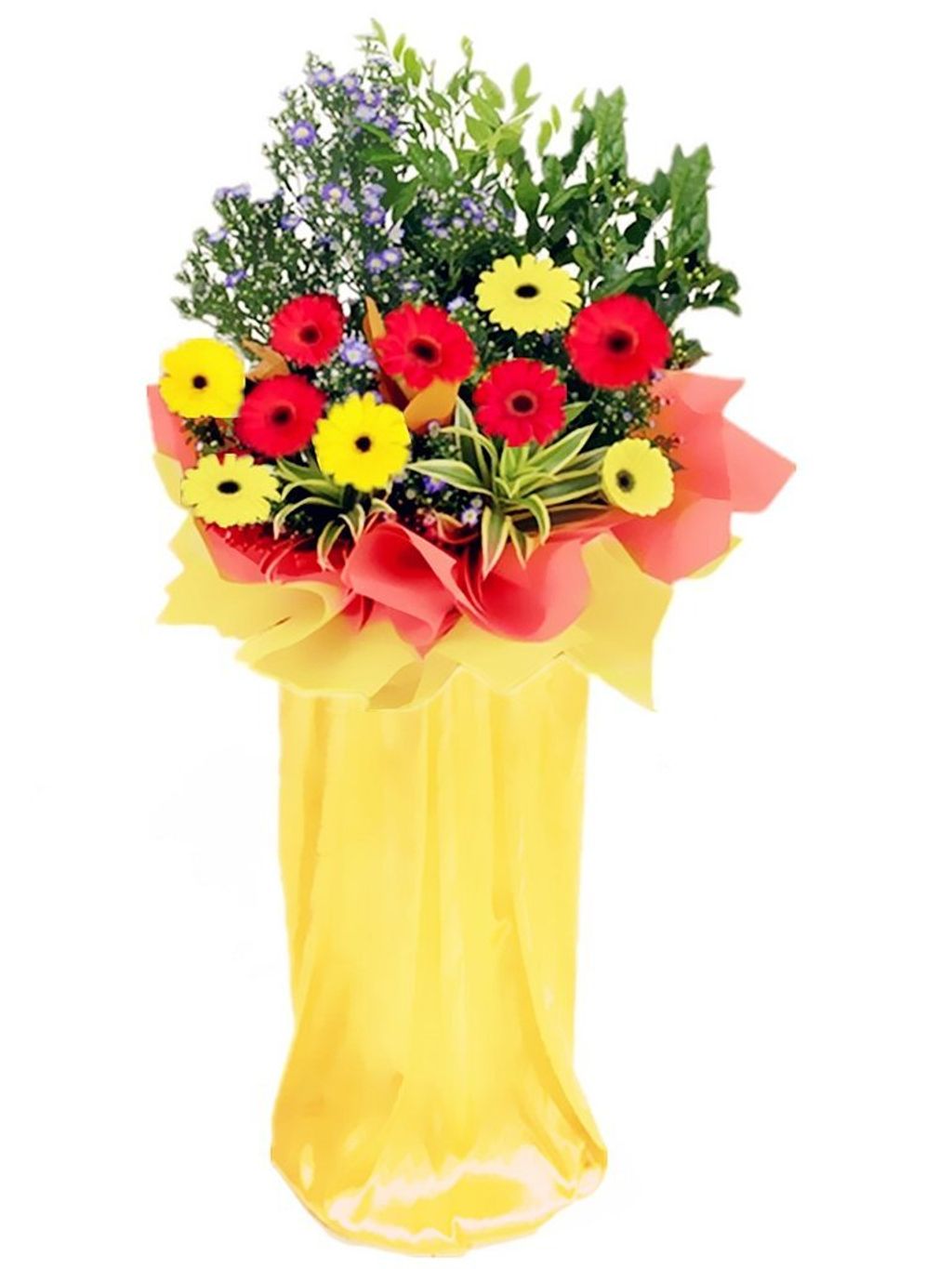 Opening Flower 209