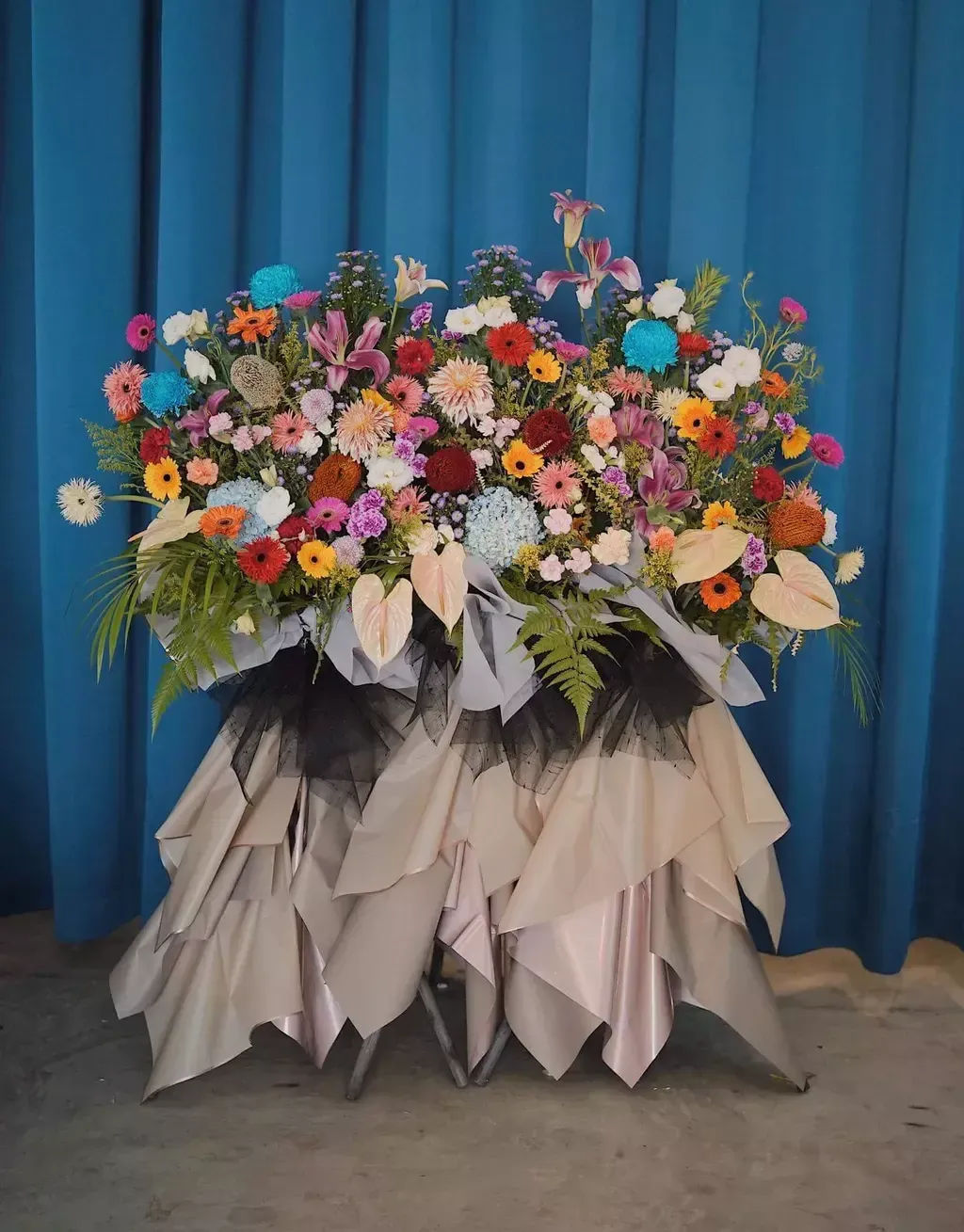 Opening Flower 176