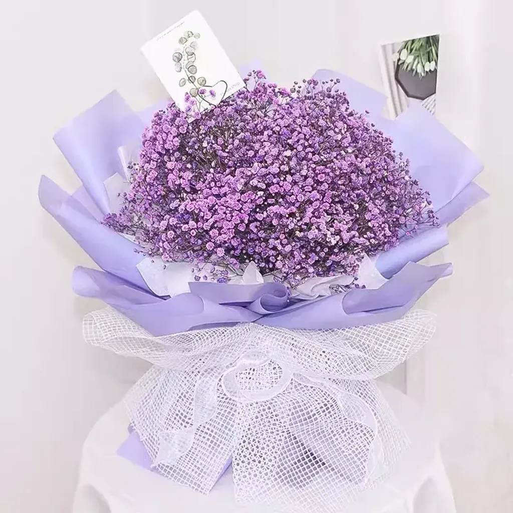 Purple Baby’s Breath