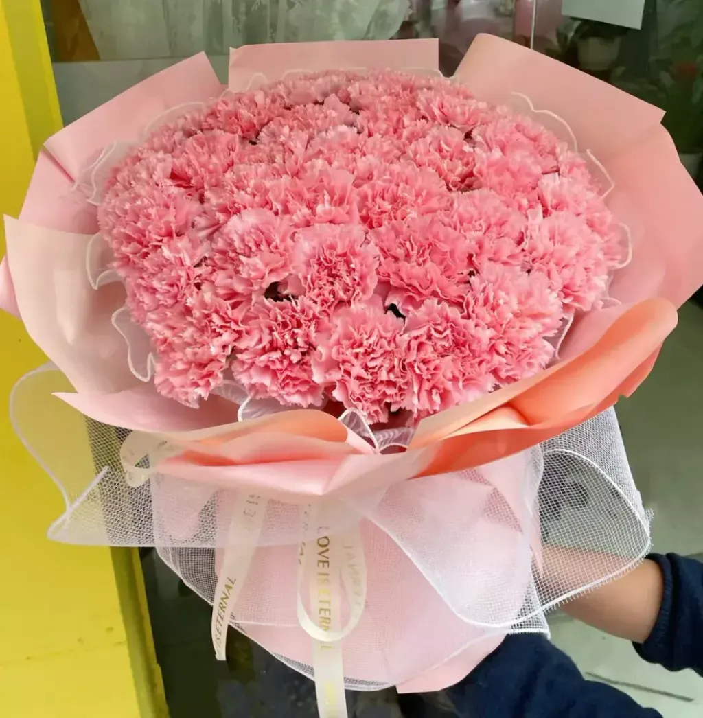 Carnation Bouquet 12