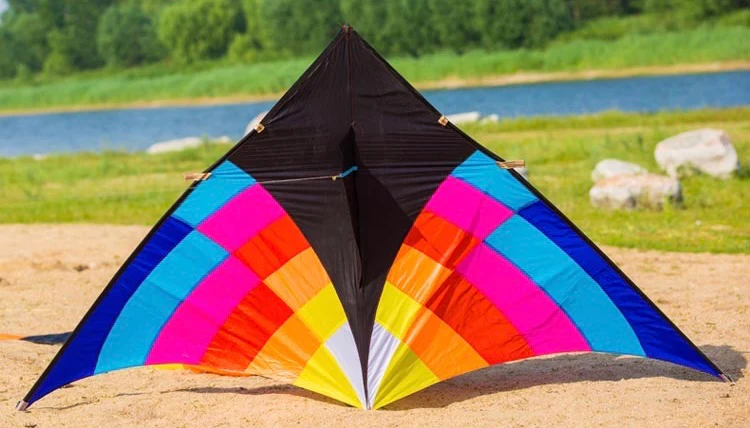 2.8m Giant Blue sunshine Delta Kite