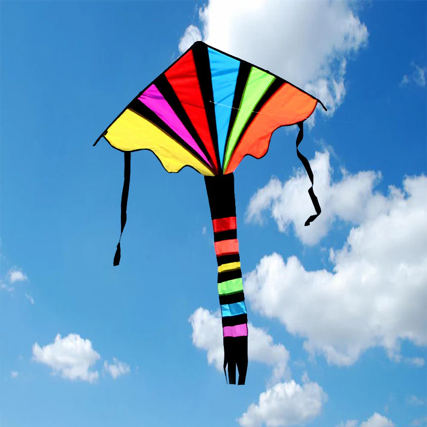 Spectrum Easy Flyer Kite