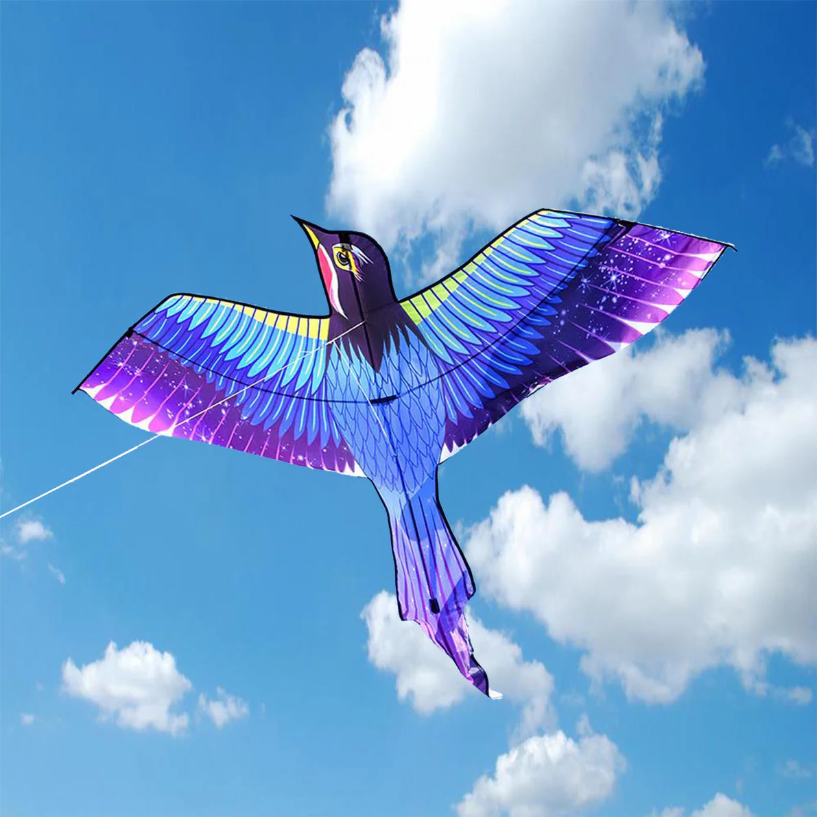 Magpie Kite