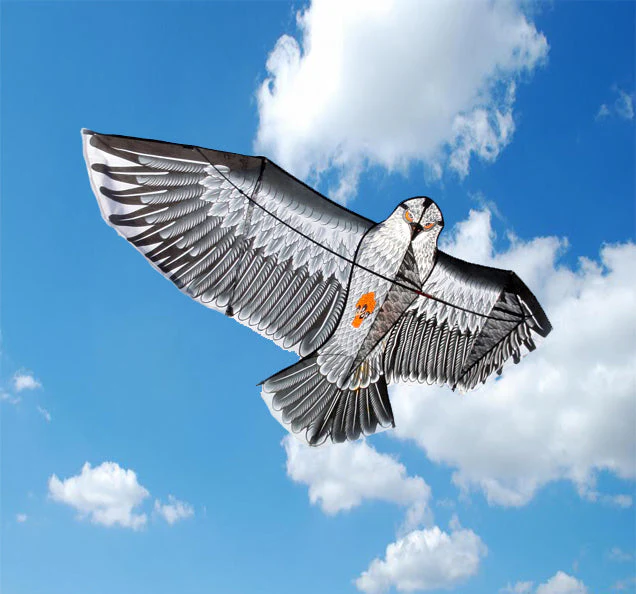 2.4m Giant Eagle Kite