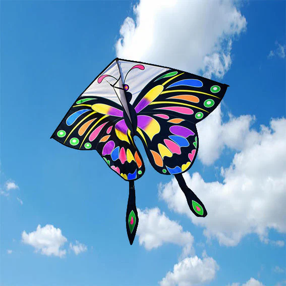 Rainbow Butterfly Kite