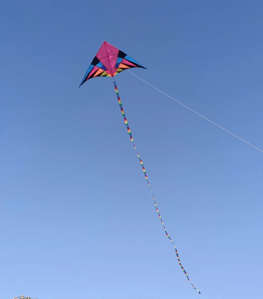 1.8m Pink Rider Delta Kite