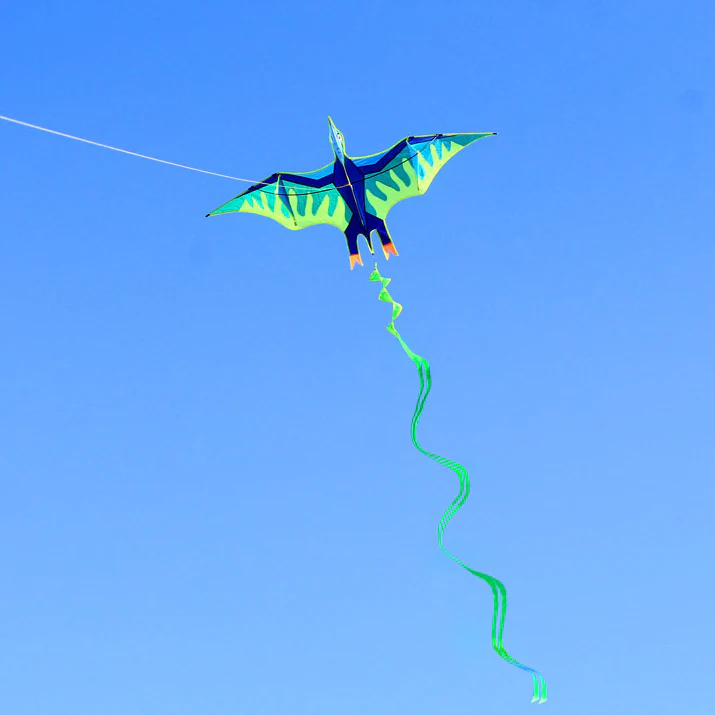 2.7m Giant Ice Pterodactyl Kite