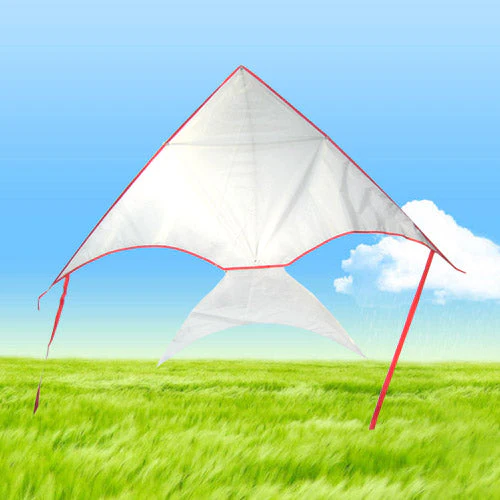 DIY Draw-it-yourself Fish Kite
