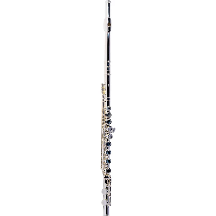 Giardinelli GFL 300 Silver Plated Flute Level 2