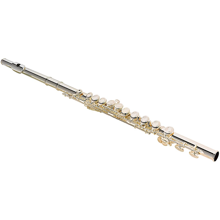 JFL700A Student Flute Closed Hole