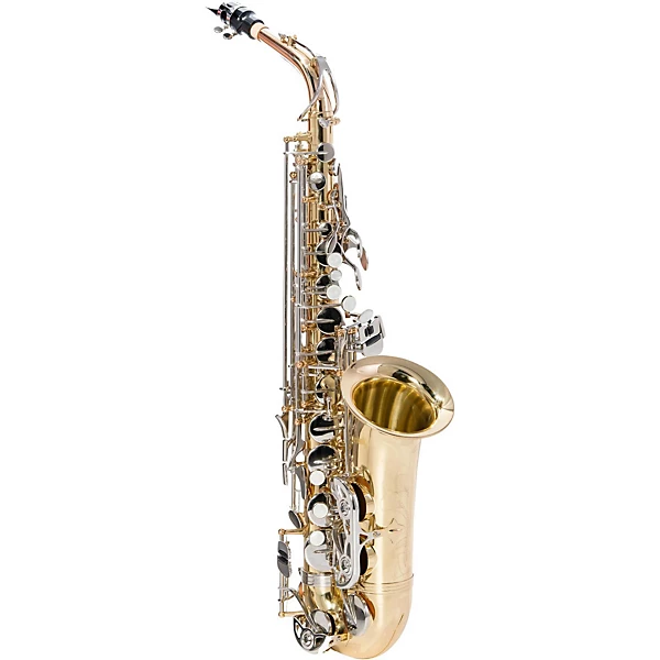 Giardinelli GAS 300 Alto Saxophone Level 2