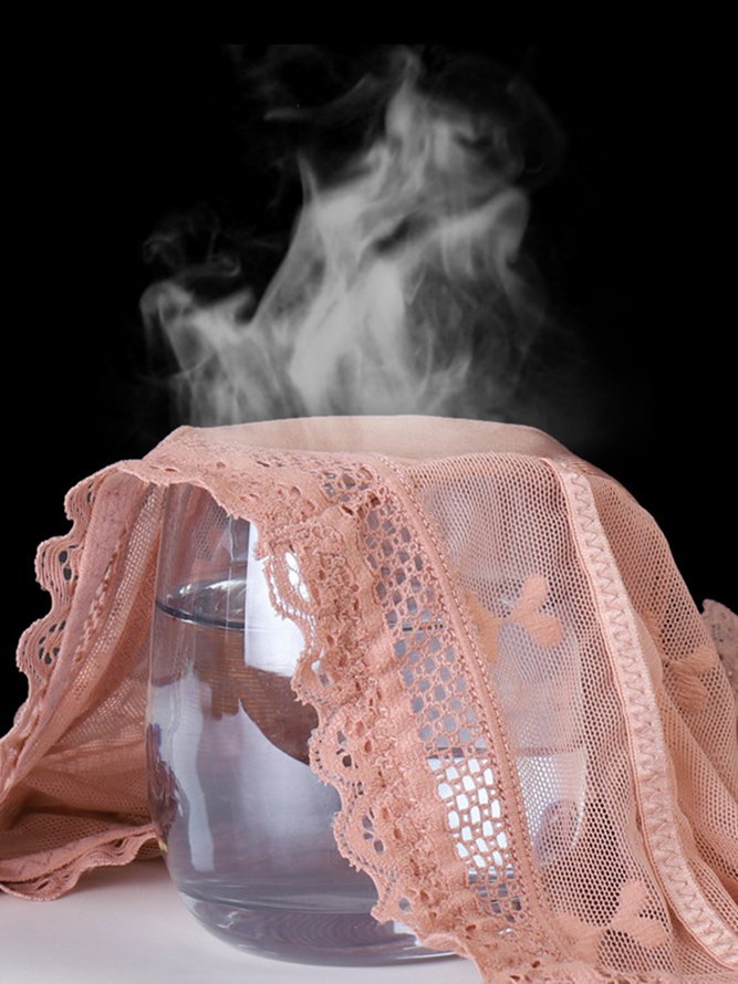 Breathable High Elastic Sexy Exquisite Lace High Waist Panties