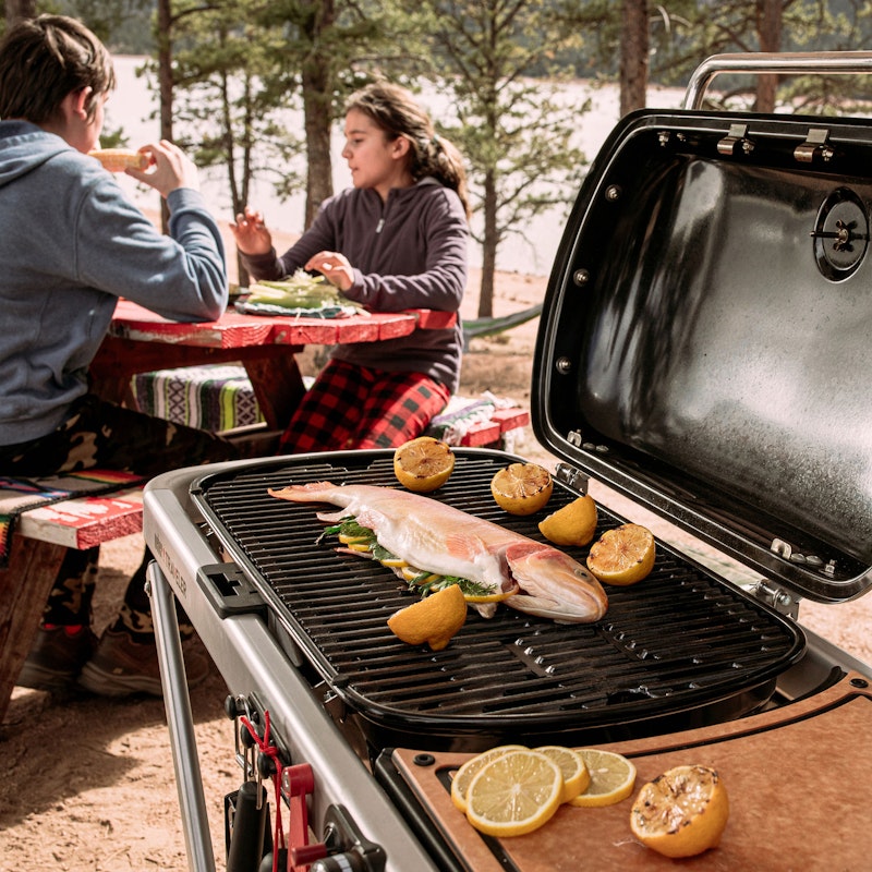 Weber Traveler® RV Portable Gas Grill