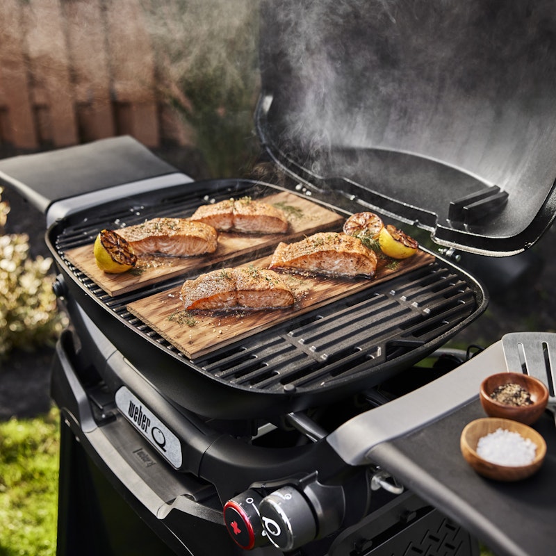 Q 2800N+ Gas Grill with Stand (Liquid Propane)