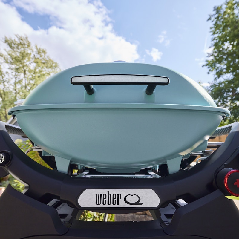 Q 2800N+ Gas Grill (Liquid Propane)