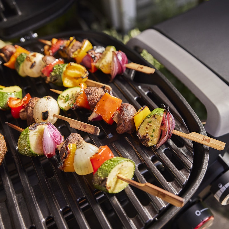 Q 2800N+ Gas Grill (Liquid Propane)