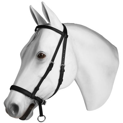 Dr. Cook Beta BioThane Bitless Bridle Headstall