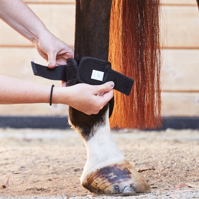 Woof Wear Pro II Fetlock Boots