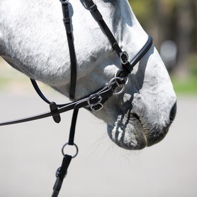 Horze Leather Bitless Bridle with Web Reins