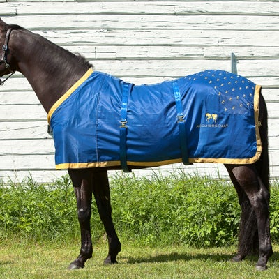 Acuswede Original Equine Acupressure Accuhorsemat Kit