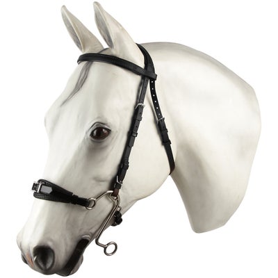 Zilco Hackamore Bridle Headstall