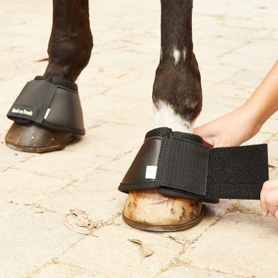 Back On Track Therapeutic Stall Use Bell Boots
