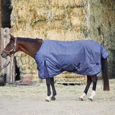 Intrepid Southern Frost 1200D Turnout Blanket 200G